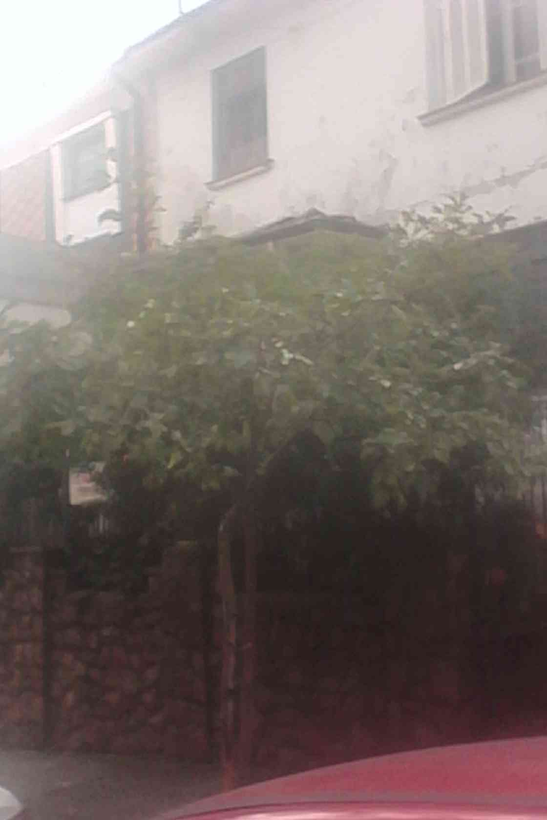 Foto Imóvel